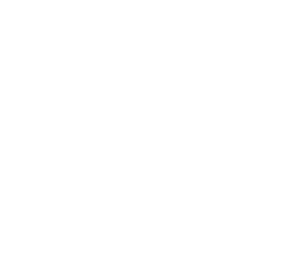 SVS logo white